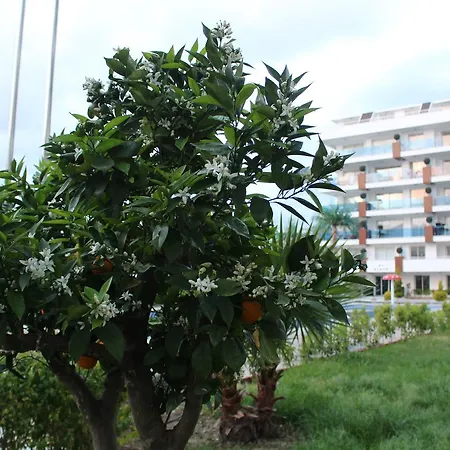 Rising Blue Kestel Apartamento Alanya